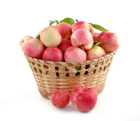 apples-805124__480.webp