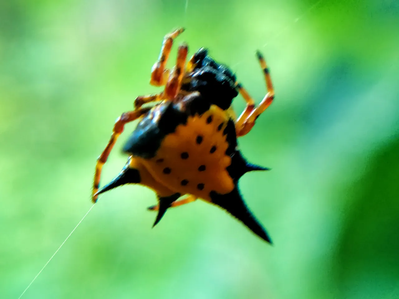 IMG_20220110_203925.jpg