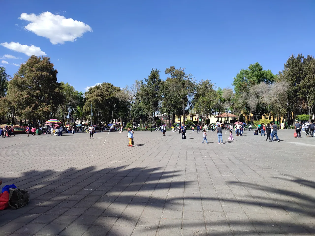 IMG_20230219_151631.jpg