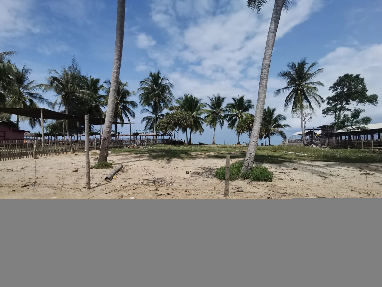 IMG_20220118_115156.jpg