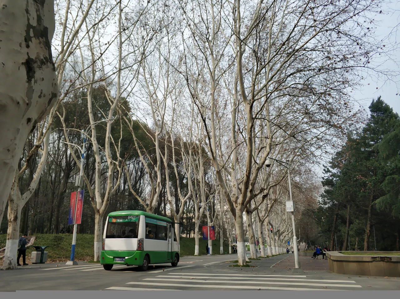 IMG_20190309_144352.jpg