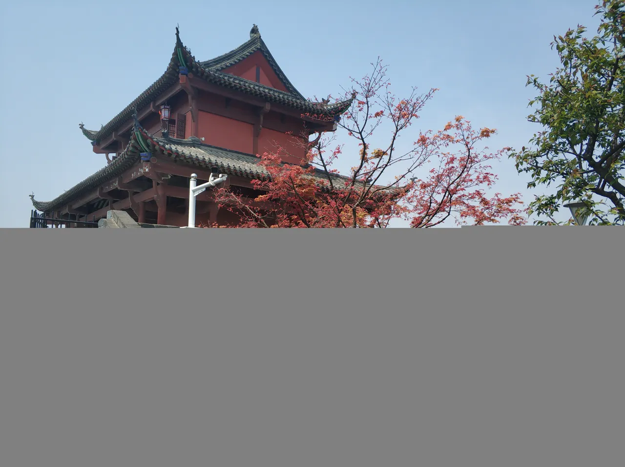 IMG_20190405_124611.jpg