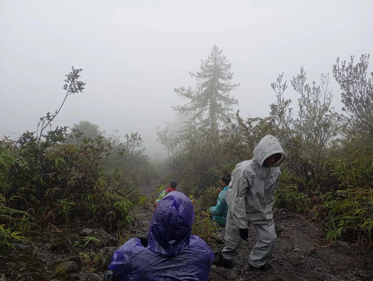 IMG-20250801-WA0044.jpg