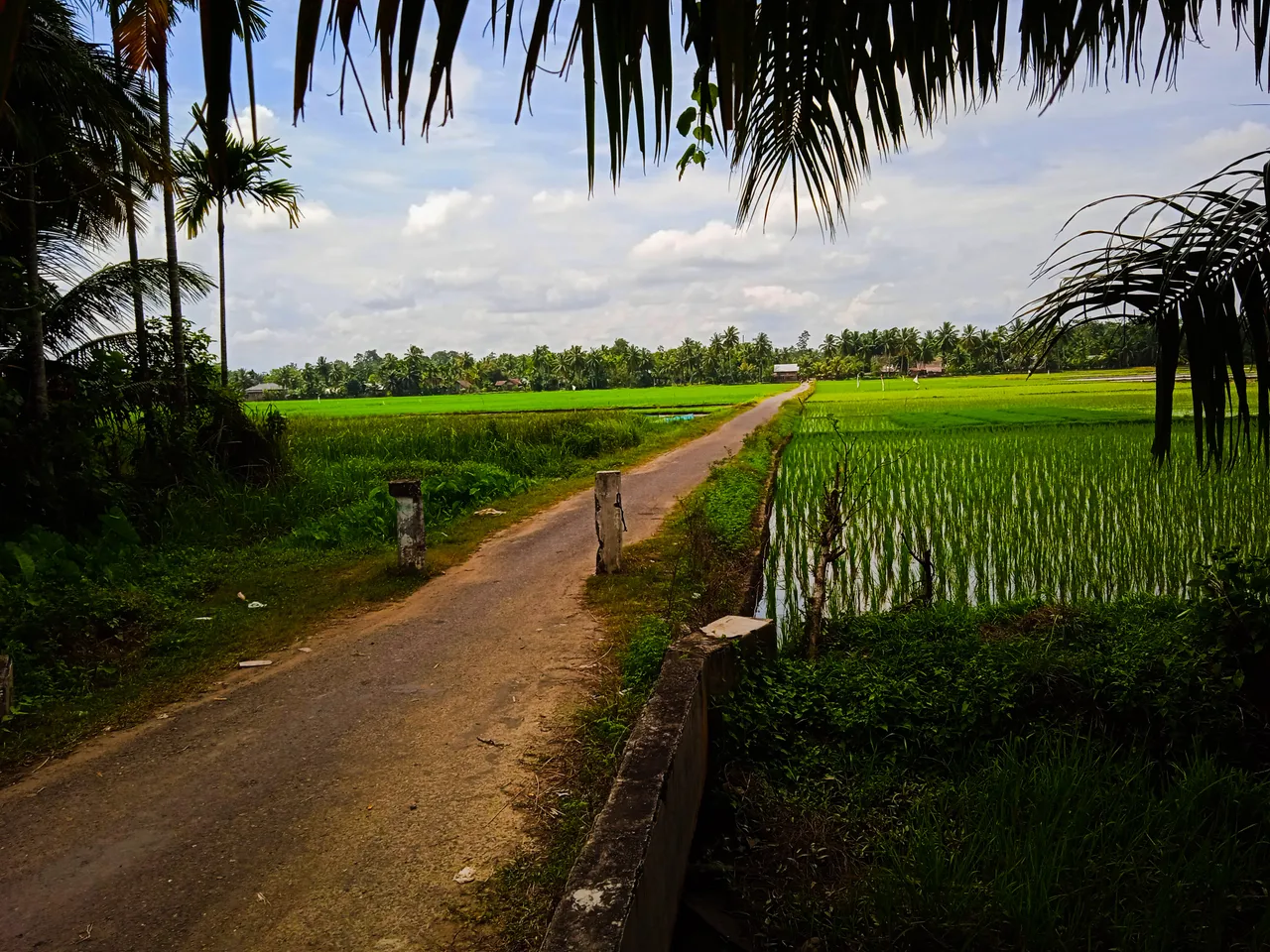 PSX_20220126_132616.jpg