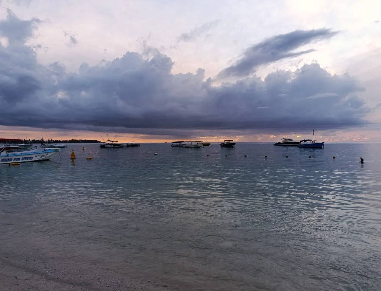IMG_20250403_175948.jpg