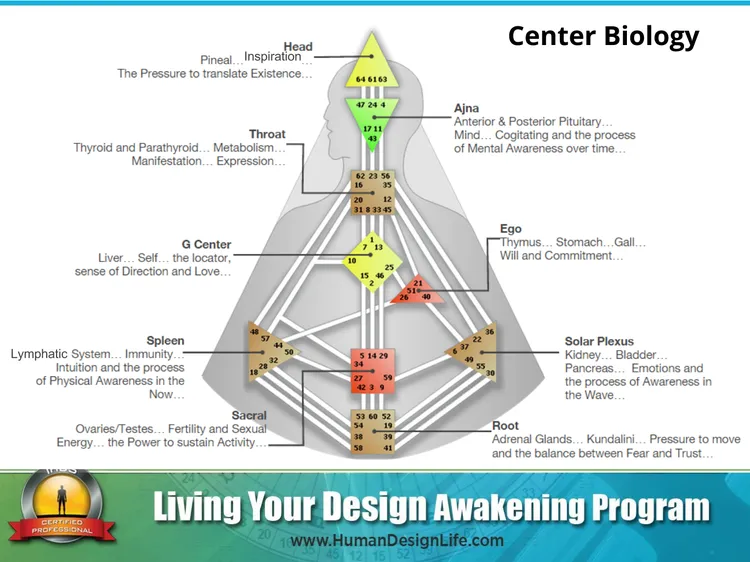 HDcenters biology.png