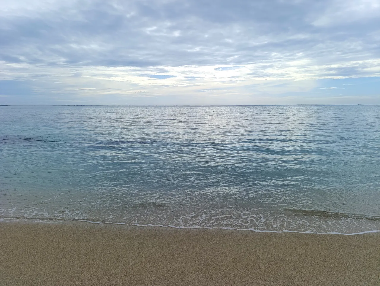 IMG_20250408_154350.jpg