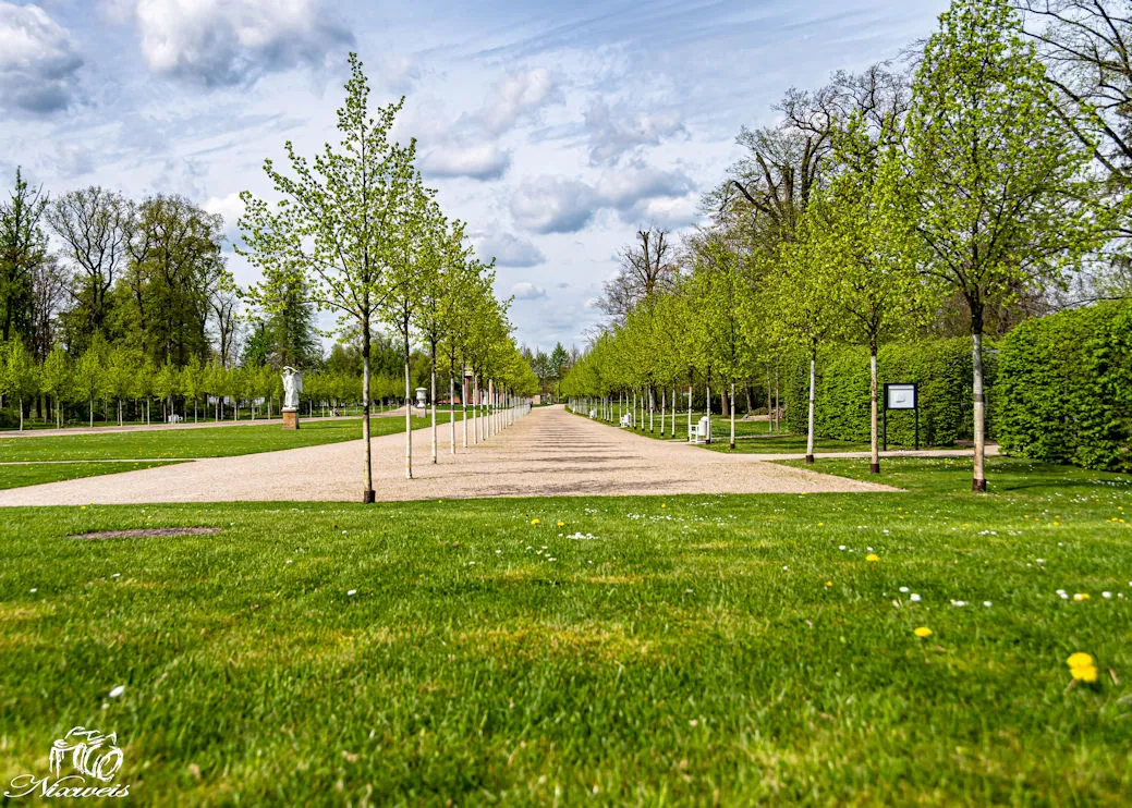 "DSC_5801-Bearbeitet.jpg"