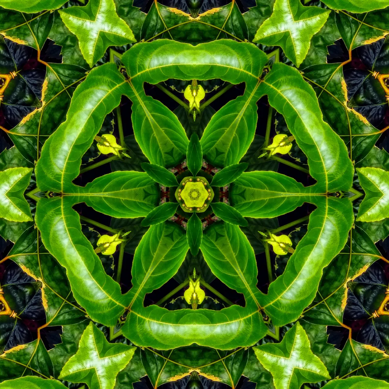 image3A49597_mirror.jpg