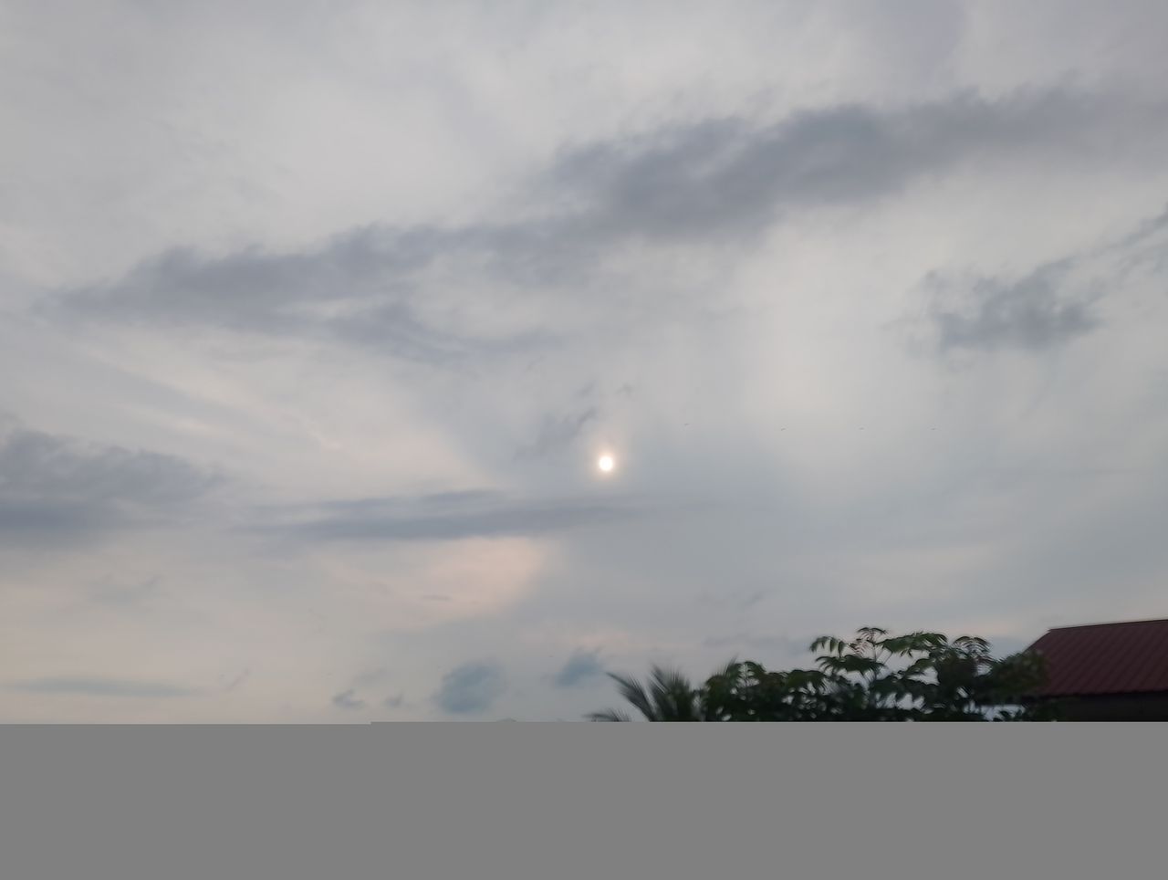 IMG_20260327_171639.jpg