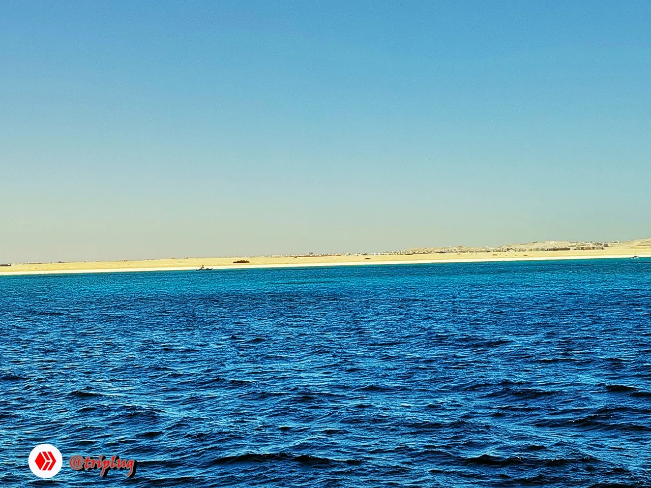 IMG_20210415_100320.jpg