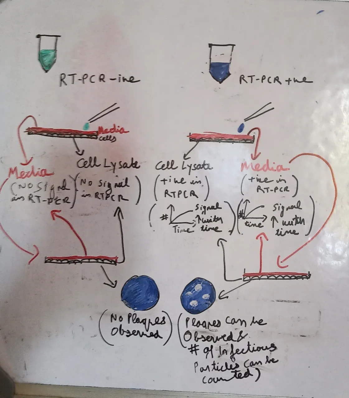 IMG_20220106_150208.jpg