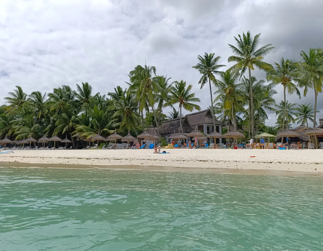 IMG_20250406_113654.jpg
