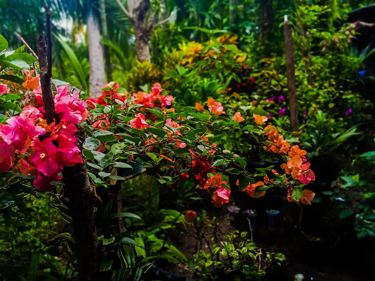 PSX_20220126_224940.jpg