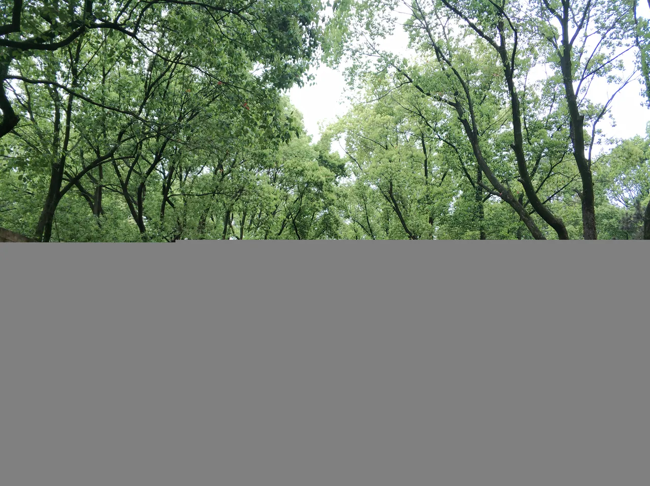IMG_20190423_181527.jpg