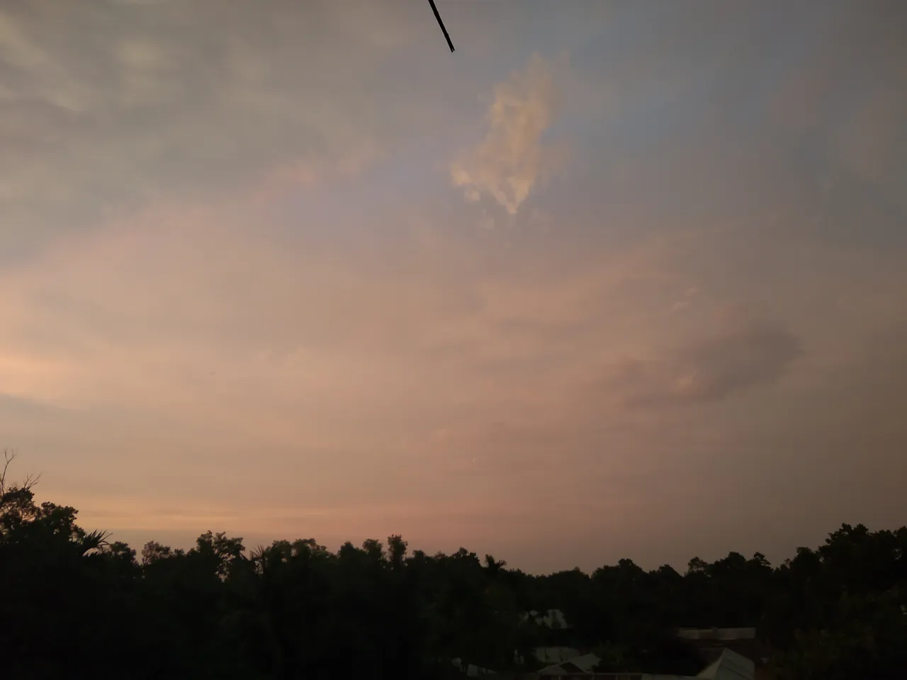 IMG_20200606_185633.jpg