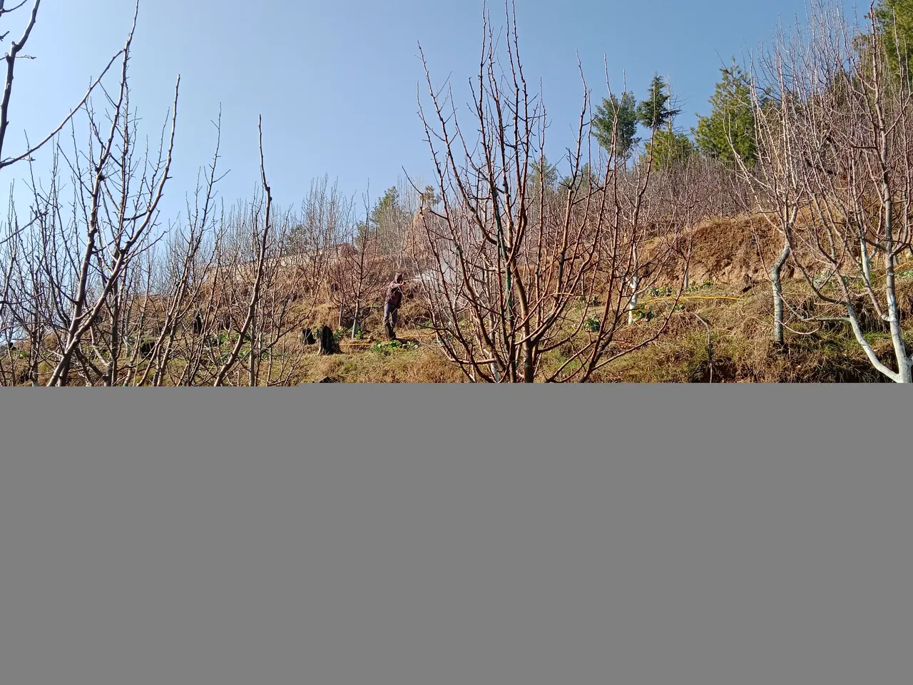 IMG_20220227_091919.jpg