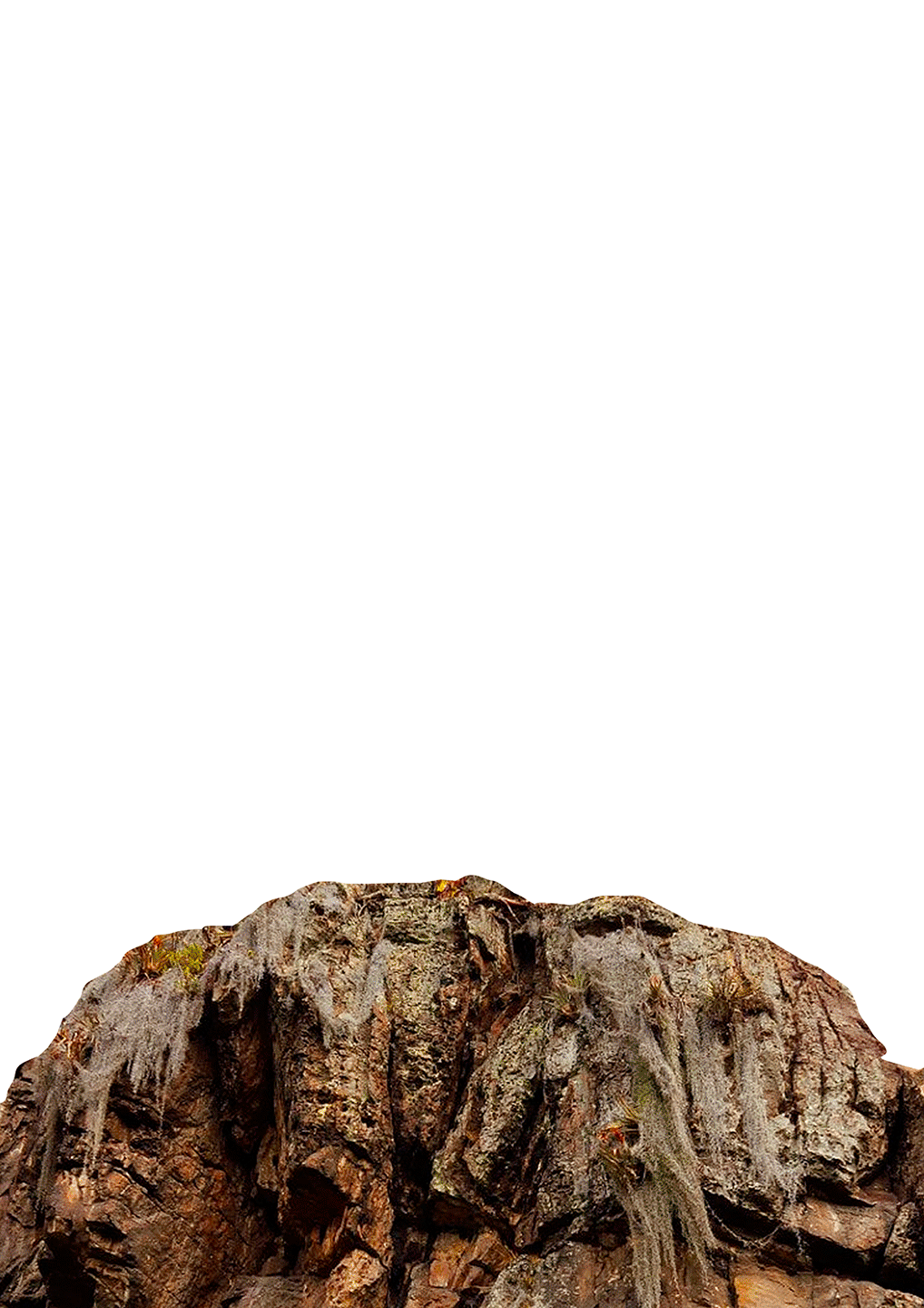 mecha-goblin-BG-gif.gif