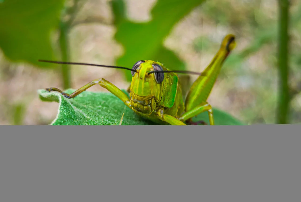 IMG_20220116_173627.jpg