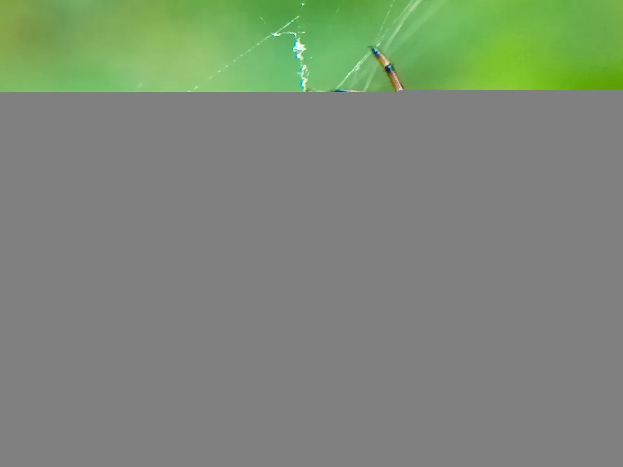 IMG_20220110_203958.jpg