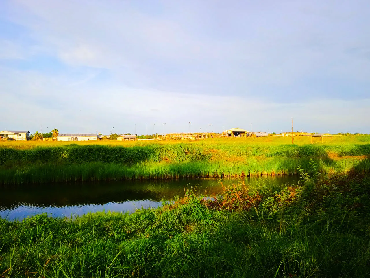 PSX_20220126_132336.jpg