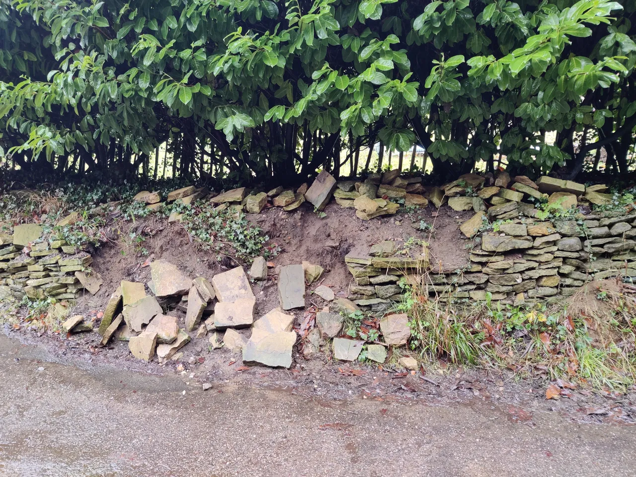 before.jpg