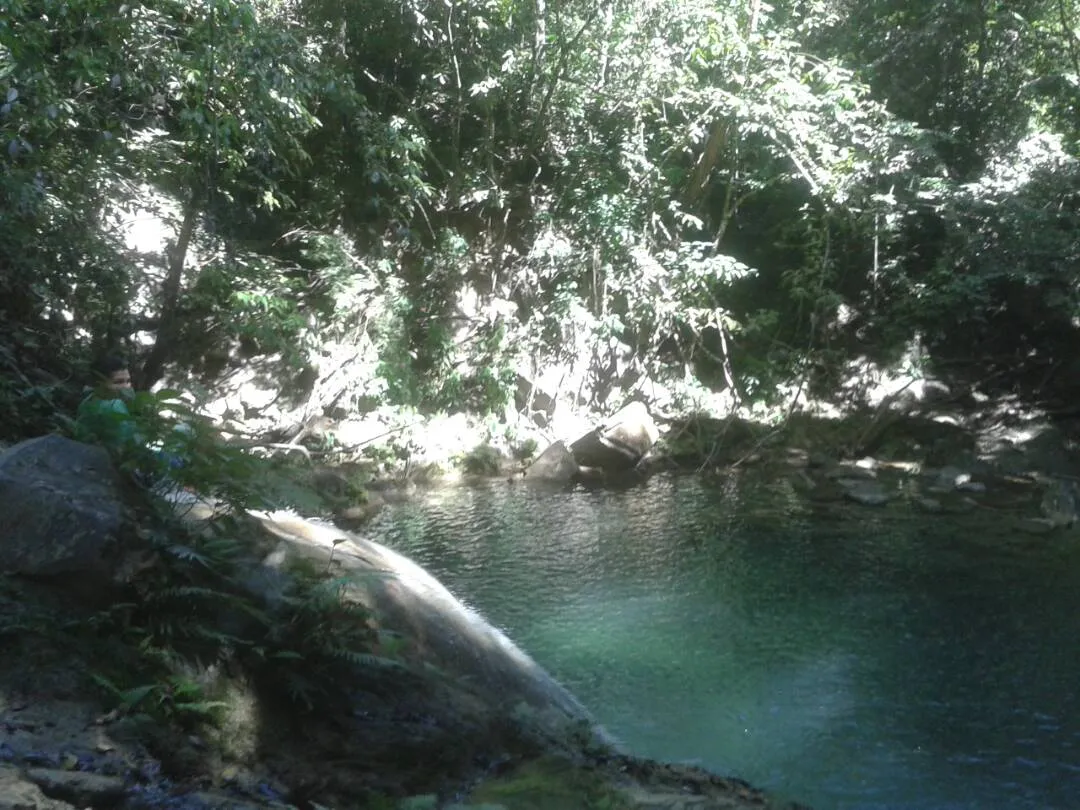 IMG-20171216-WA0081.jpg