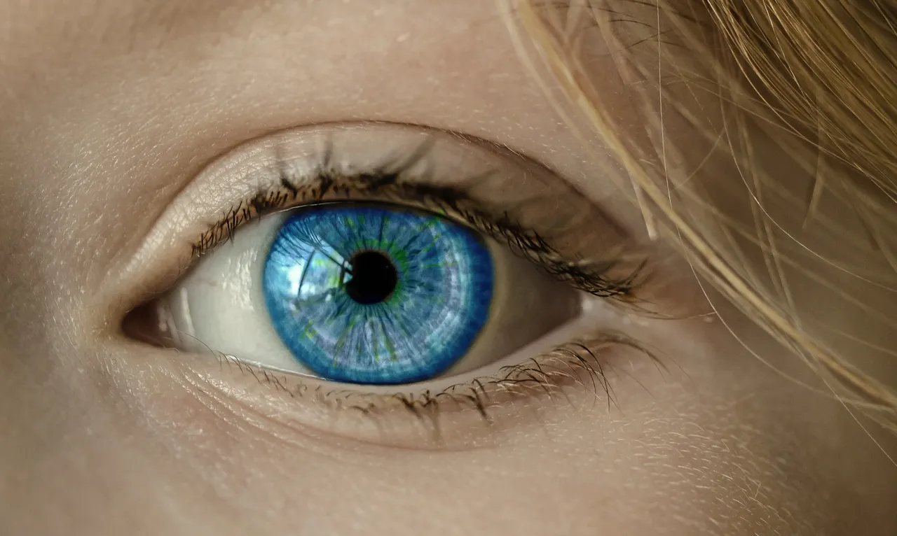 eye-ge867c398d_1920.jpg