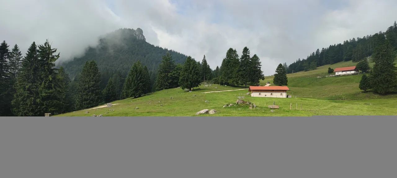 IMG_20210720_101624.jpg