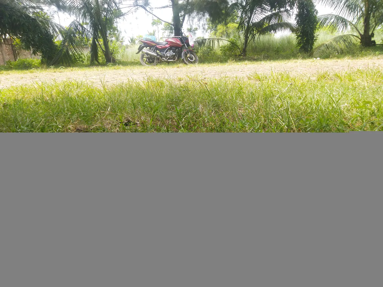 IMG_20200703_135648.jpg