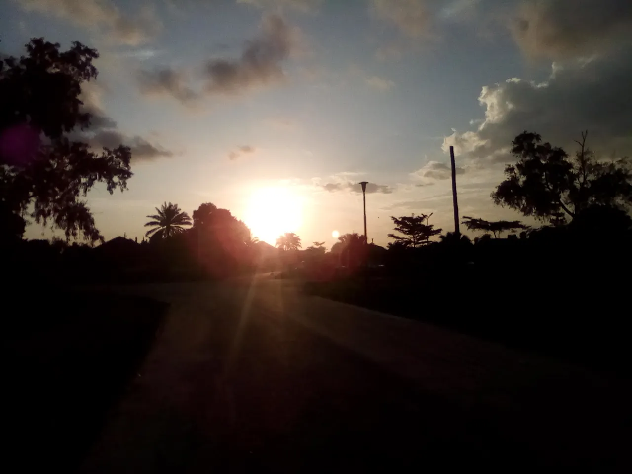 IMG_20221022_175057.jpg