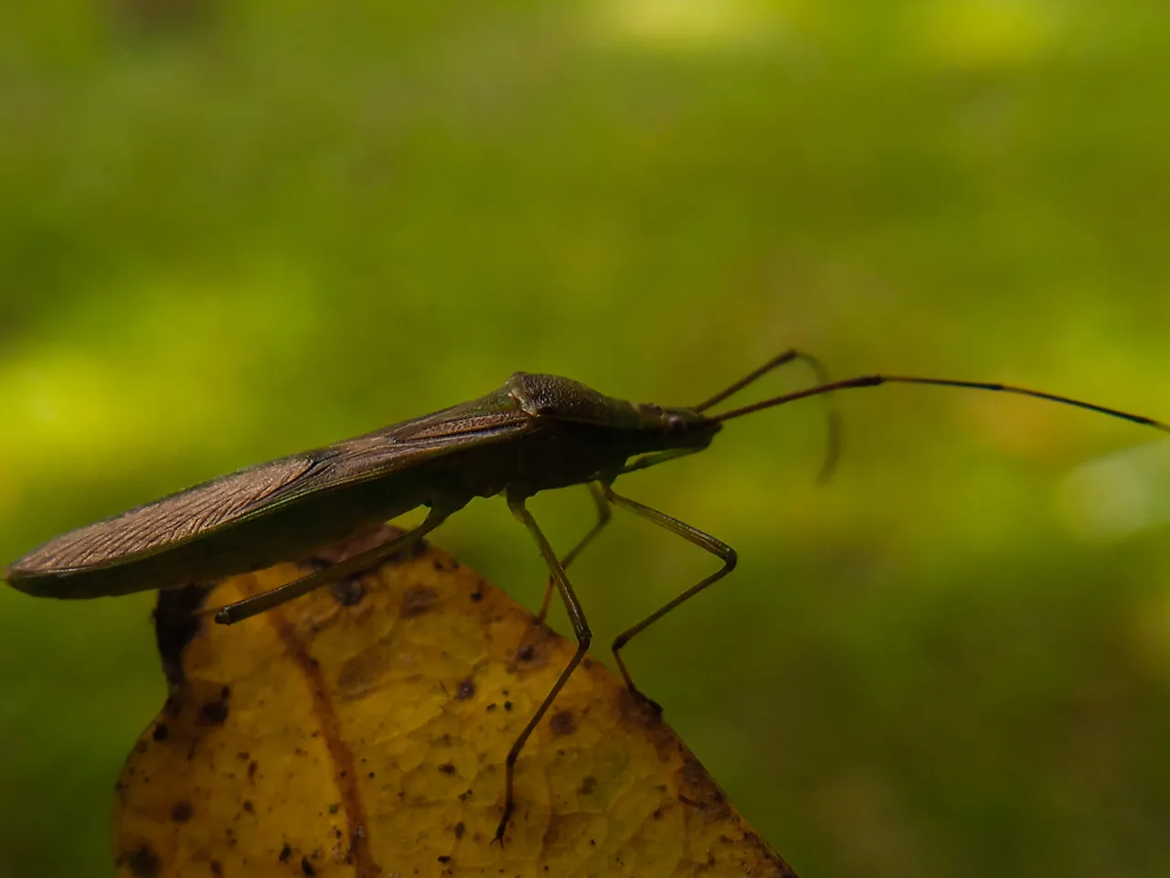 IMG_20220125_214133.jpg