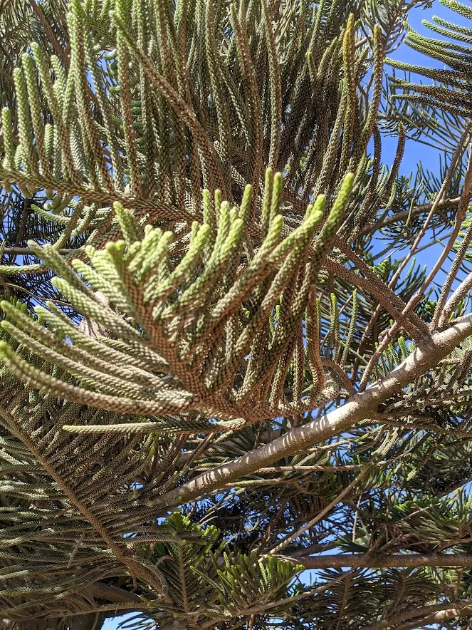 IMG_20191210_133852.jpg