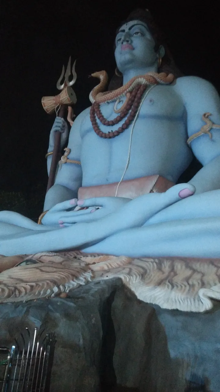 IMG_20220108_182256.jpg