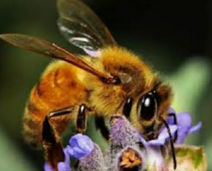 IMG_20220115_000715.jpg
