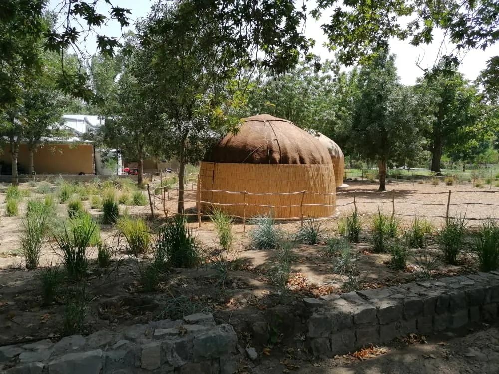 park9873284 (27).jpeg