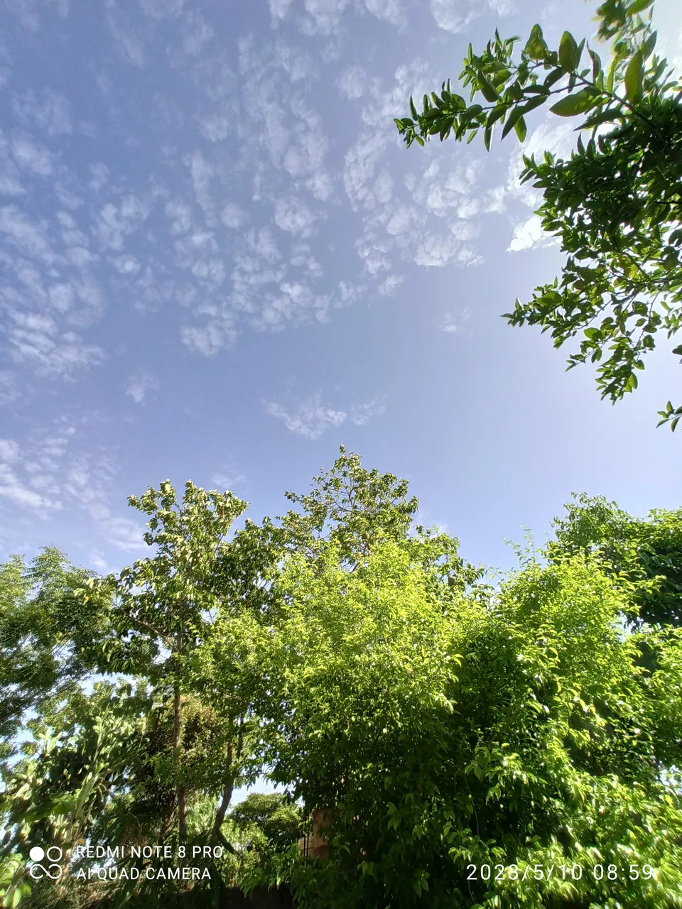 IMG_20230510_085953.jpg