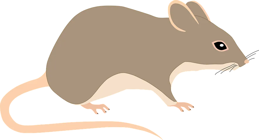 mouse-5117776__480.webp