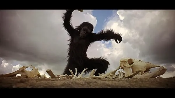 02 Foto primate.jpg