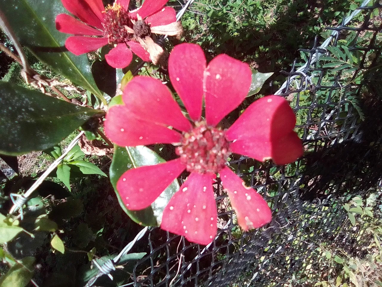 IMG_20201204_121057.jpg