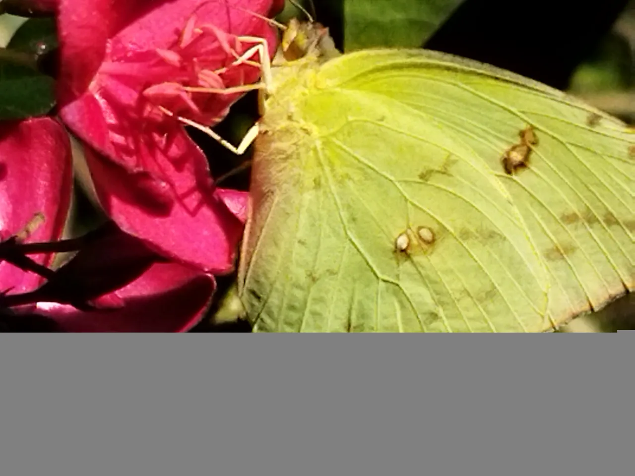 IMG_20210926_153202.jpg