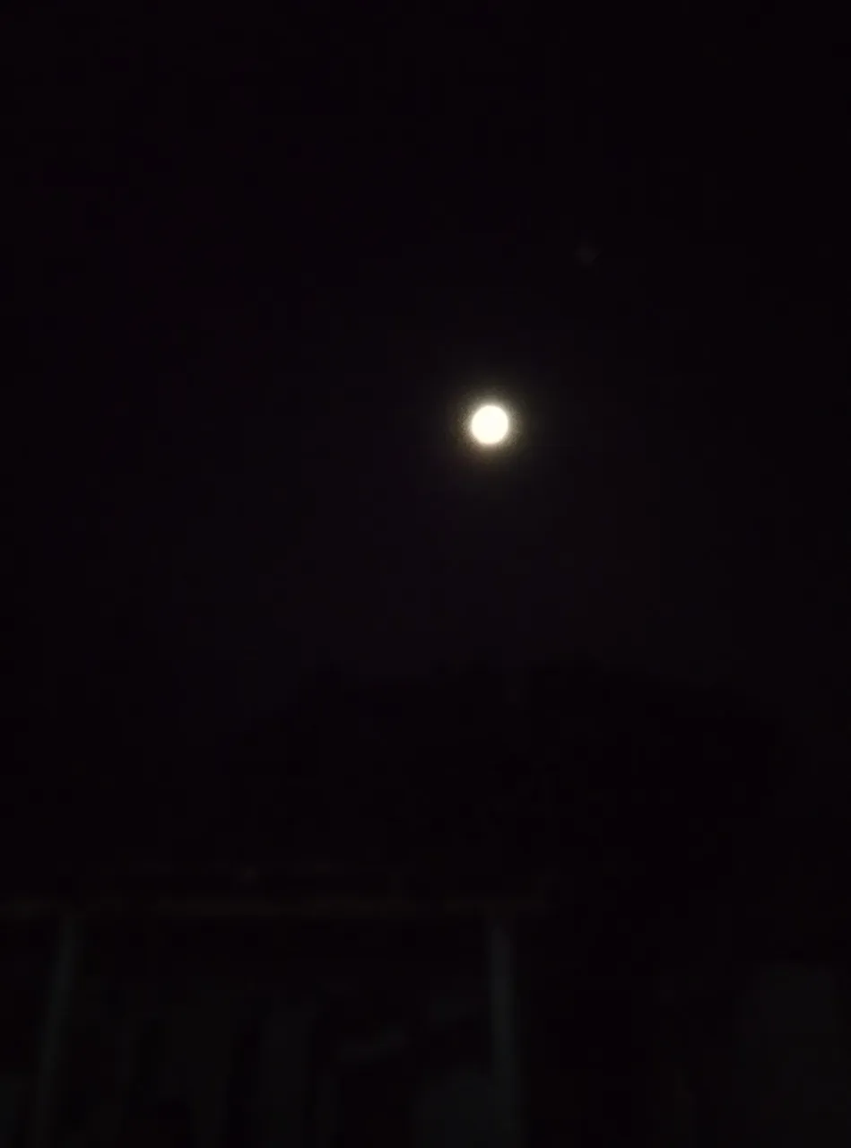 IMG_20201030_201037.jpg