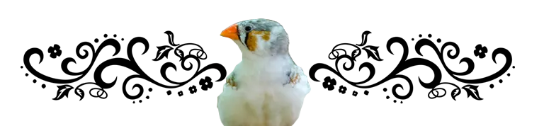 Birds Divider 7.png