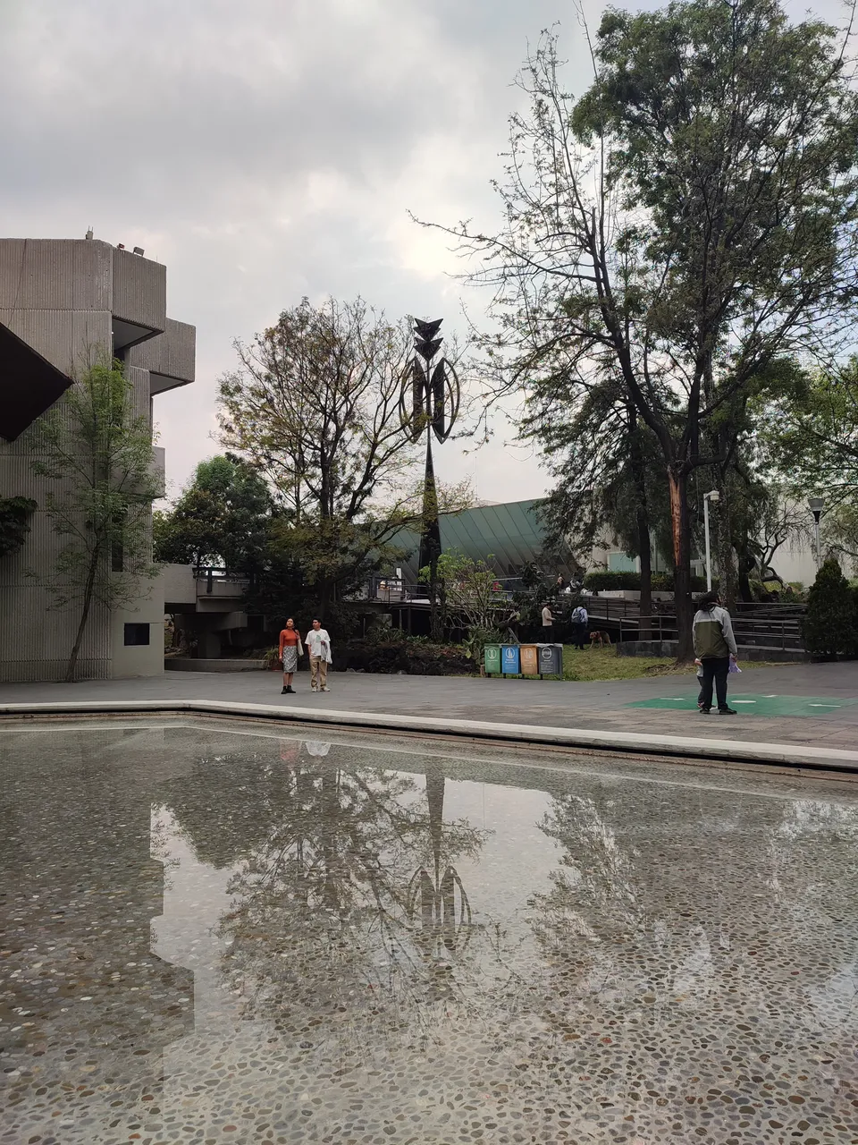 IMG_20230212_162622.jpg