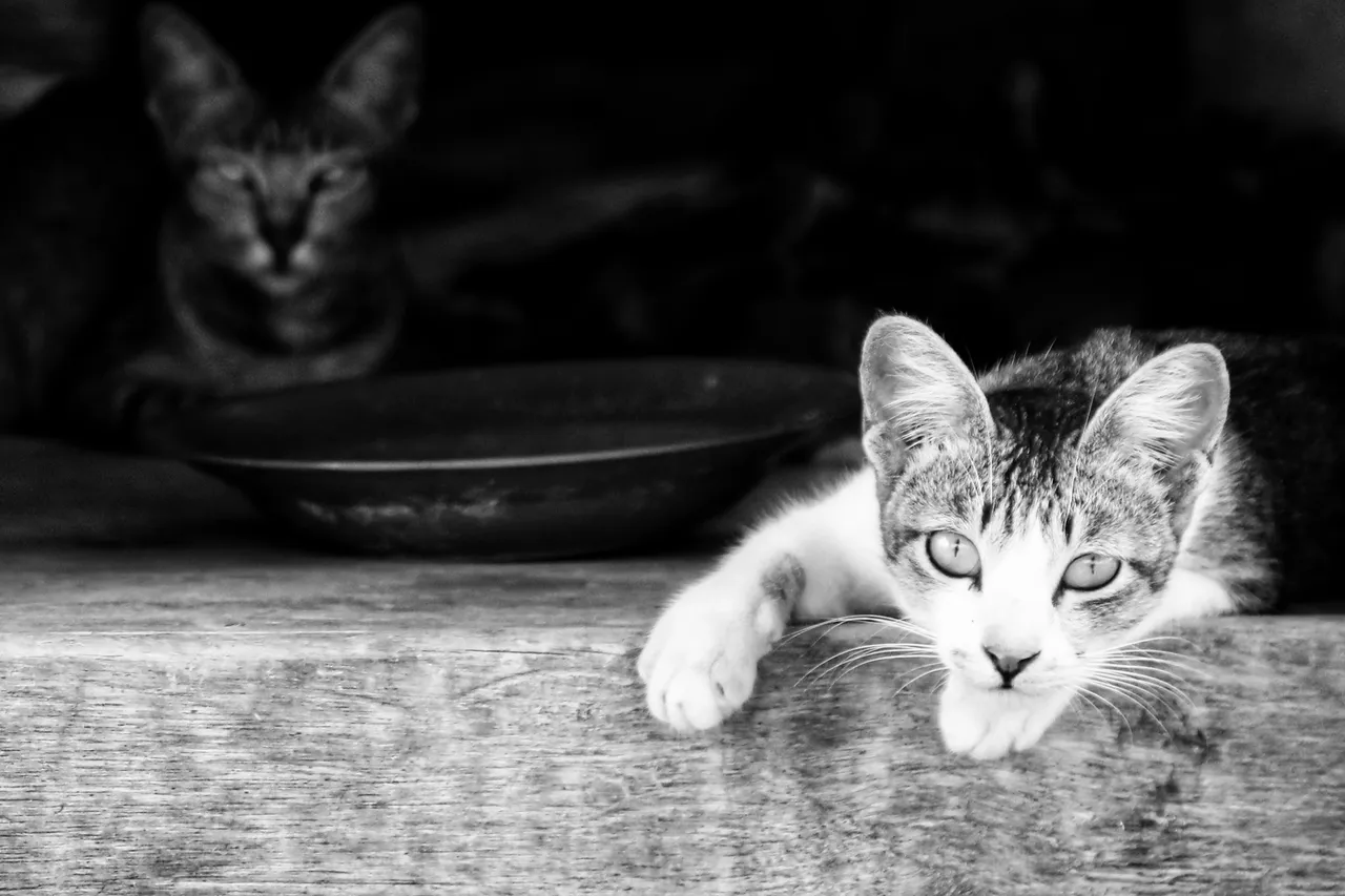 20220120_164738-01.jpeg