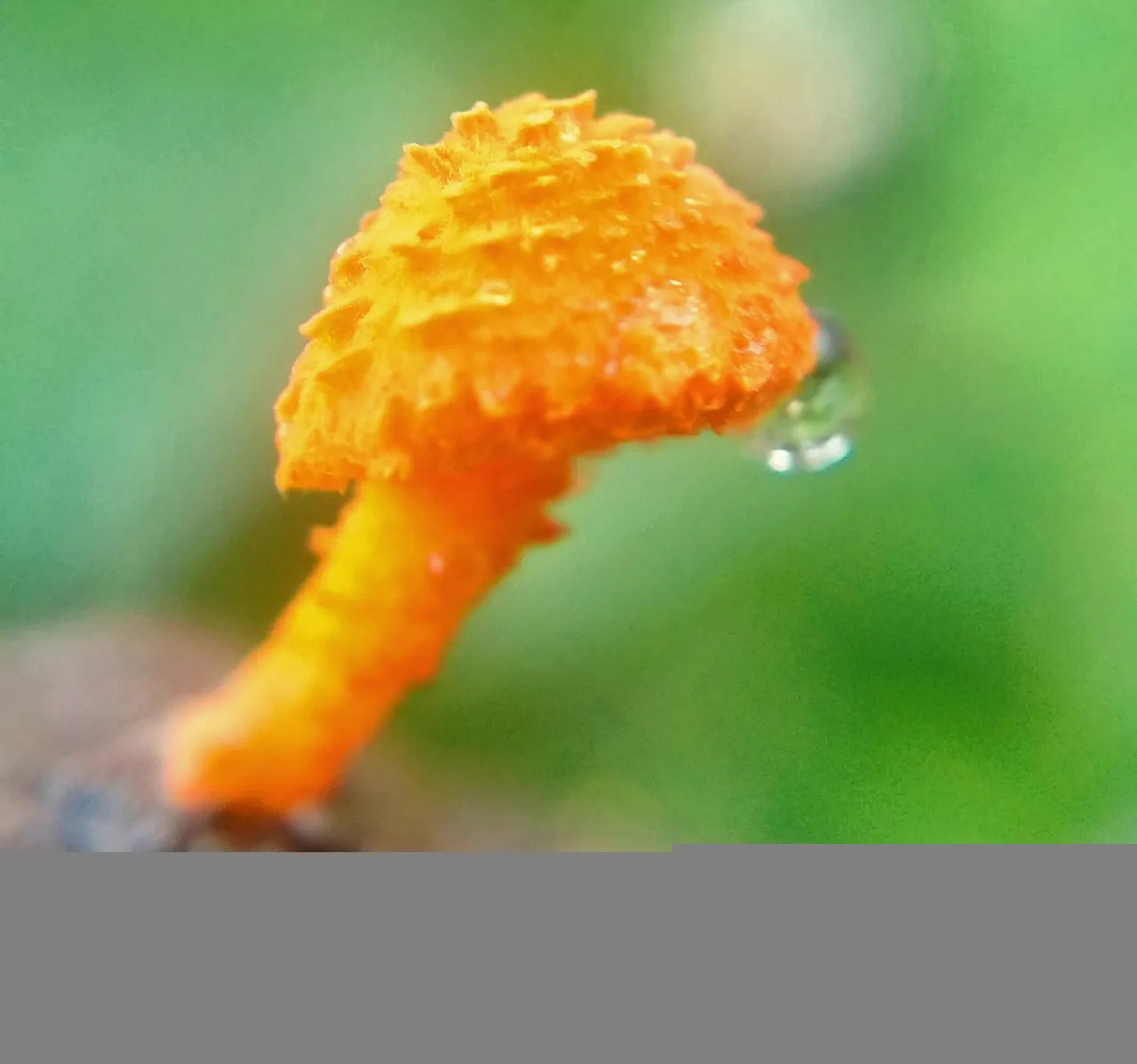 IMG_20220109_201925.jpg