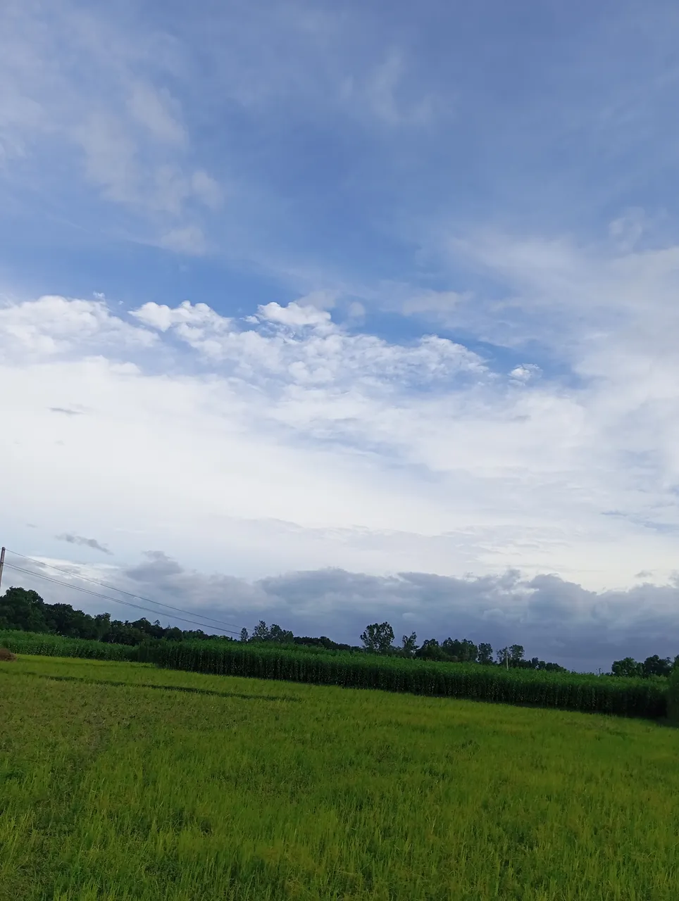 IMG_20250725_163900.jpg