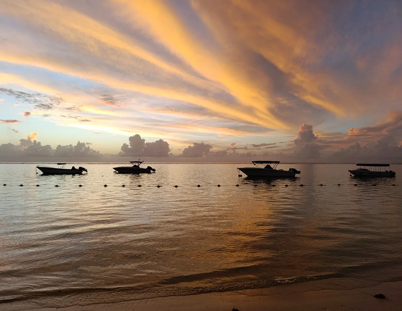 IMG_20250409_180837.jpg