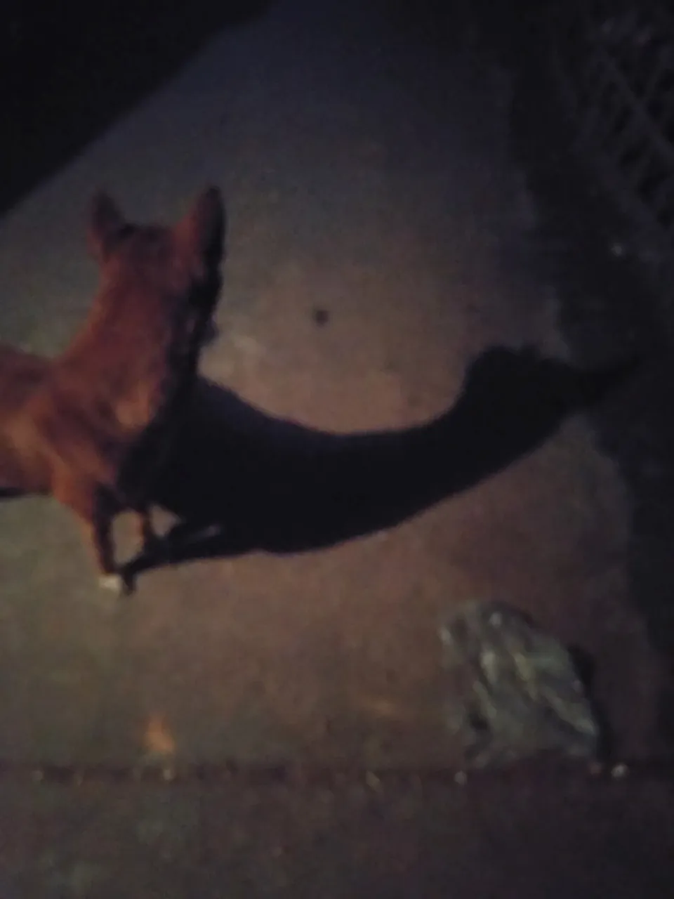IMG_20220101_194819.jpg
