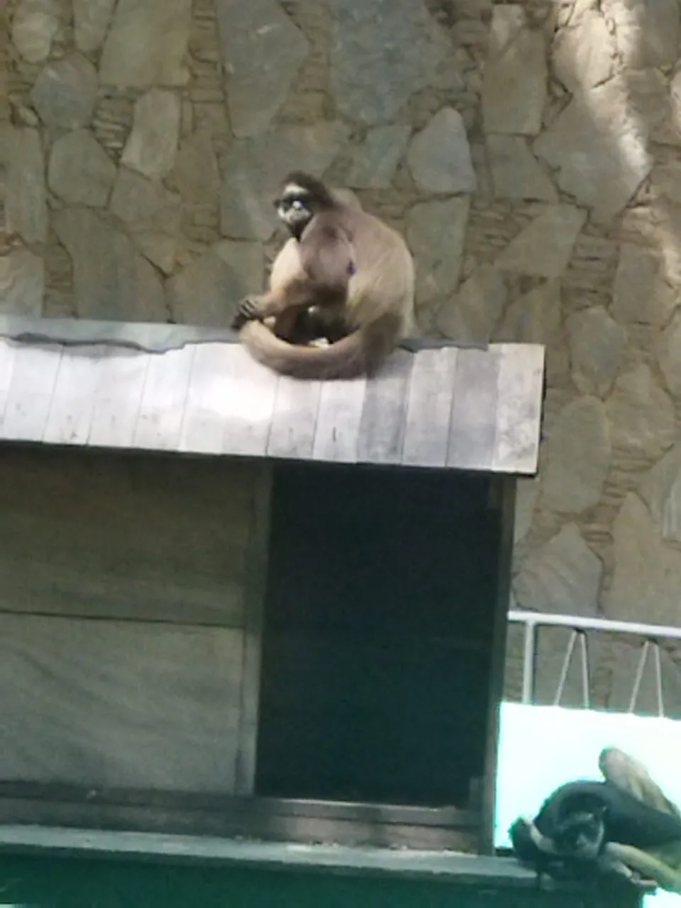 IMG-20250405-WA0032.jpg